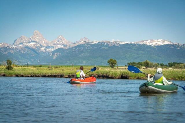 Birding the Teton River (Idaho Birding Trail – Teton Valley Subloop) — Teton River, near Driggs & Victor, ID
