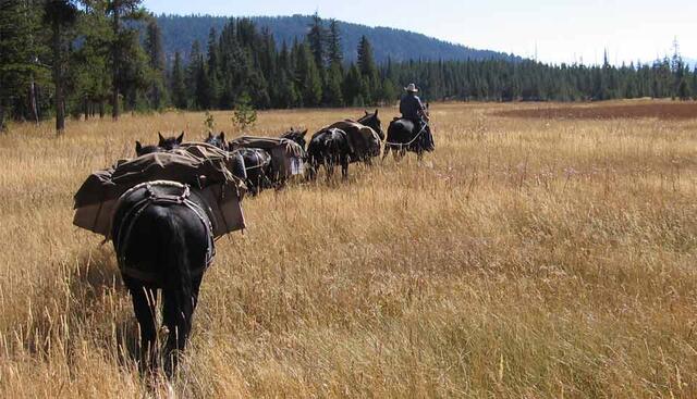 Dry Ridge Outfitters — Tetonia, ID (Teton Valley)