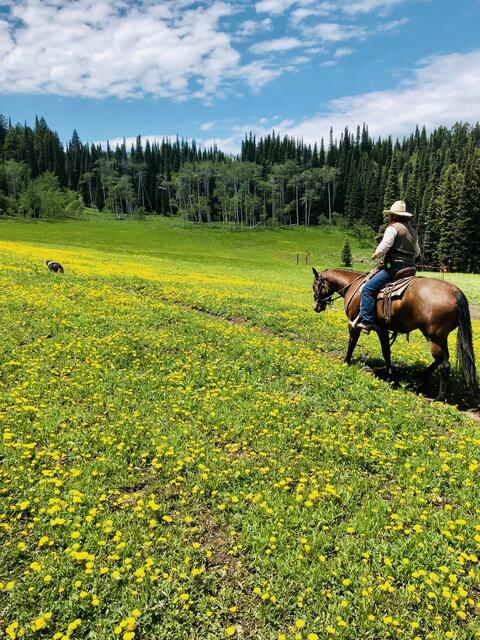 Guided Horseback Adventures at Grand Targhee Resort — Alta, WY (Grand Targhee Resort)