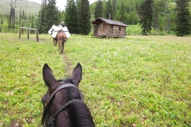 Leigh Creek Outfitters — Driggs / Teton Valley, ID