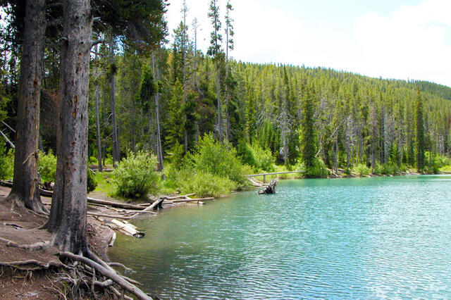 Packsaddle Lake — Tetonia, ID (Big Hole Mountains, Teton County)