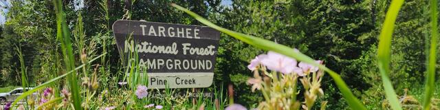 Pine Creek Campground — Pine Creek Pass, west of Victor ID