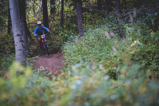 Southern Valley / Mike Harris Trails — Victor, ID (Southern Teton Valley)