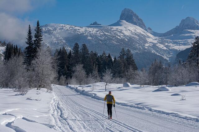 Teton Canyon Winter Trail — Teton Canyon, Alta WY
