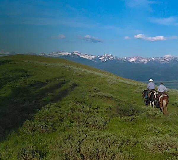 Teton Trail Rides — Victor, ID