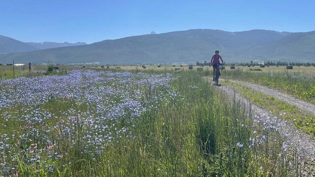 Teton Valley Pathways (Teton Valley Trails & Pathways) — Victor, Driggs & Tetonia ID (valley-wide)