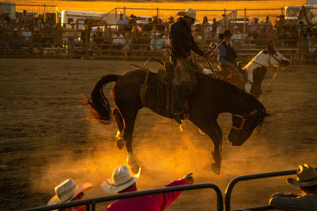 Teton Valley Rodeo (Friday Night Rodeo) — Driggs ID