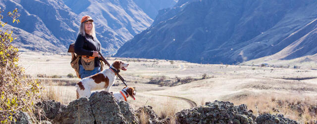 Upland Bird & Waterfowl Hunting (IDFG Upper Snake Region) — Teton Valley & Big Hole Mountains, ID