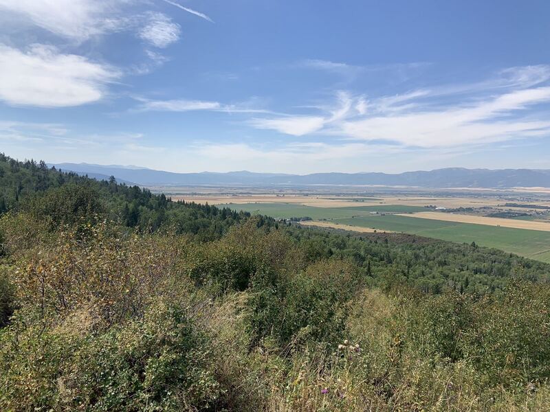 Aspen Trail near Victor, Idaho