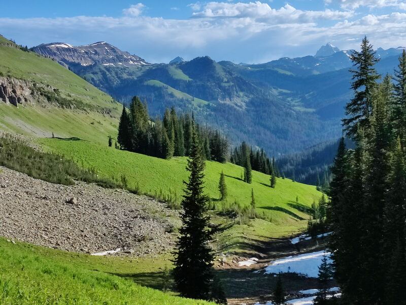 Coal Creek Meadows near Victor, Idaho