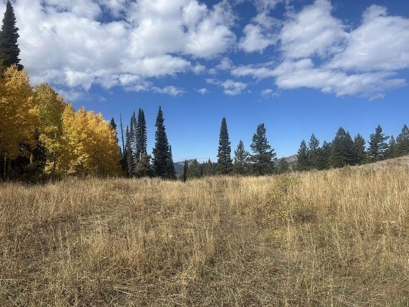 Drake Creek near Victor, Idaho