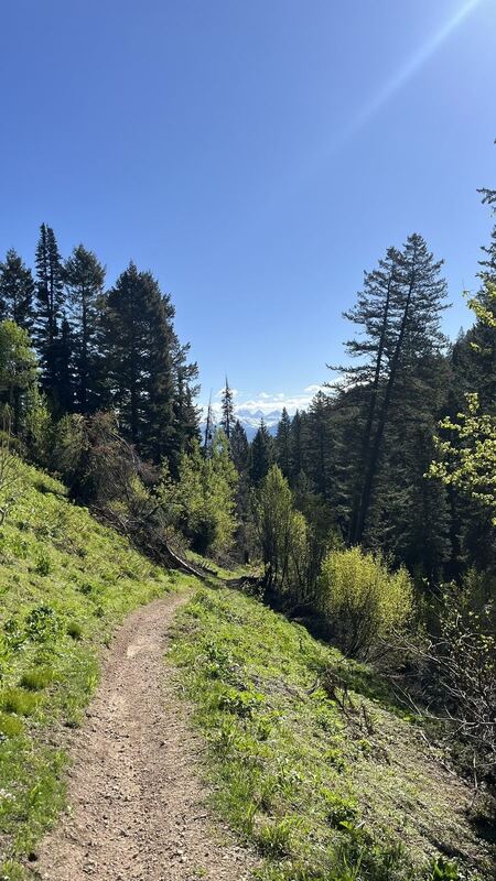 Grove Creek near Victor, Idaho