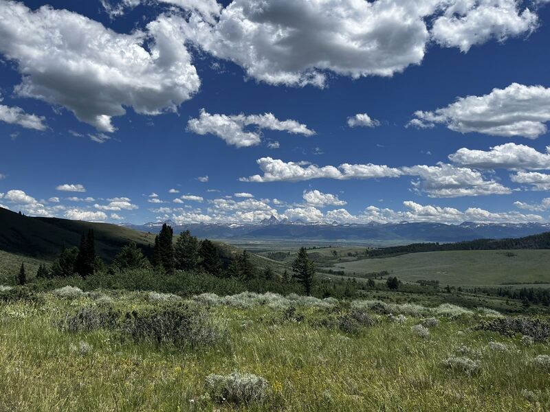 Horseshoe Creek Trail near Victor, Idaho