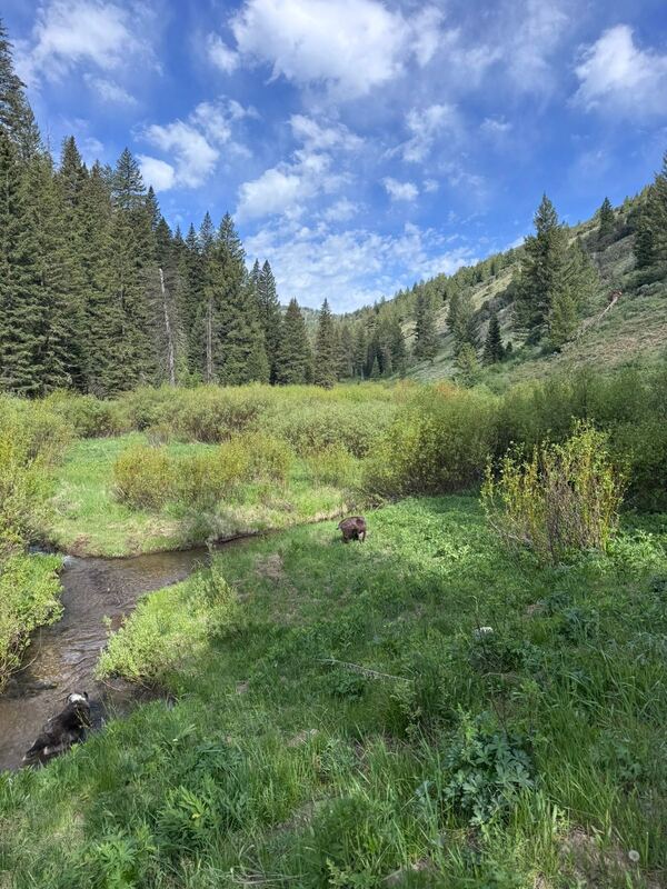 Monument Peak & Garns Mountain near Victor, Idaho