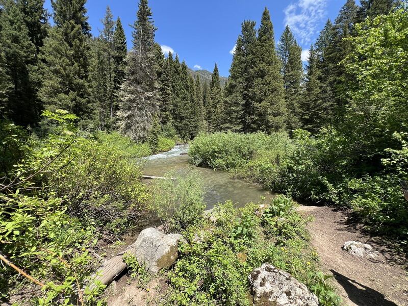 Moose Creek & Moose Lake near Victor, Idaho