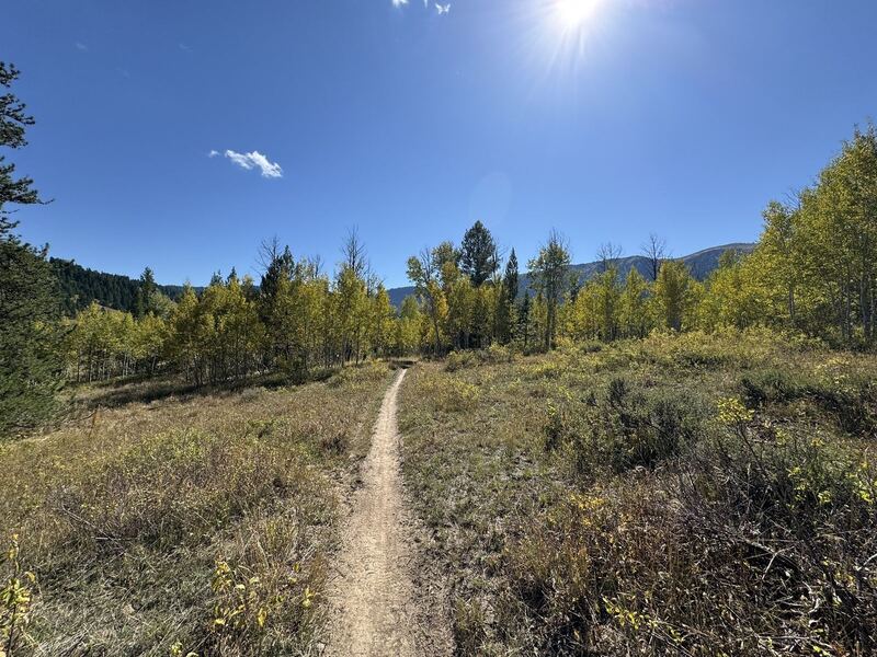 Mount Manning Loop via Horseshoe Road near Victor, Idaho