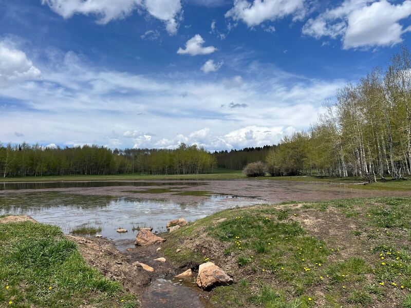 Mud Lake Trail near Victor, Idaho