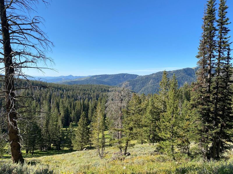 Phillips Pass Trail near Victor, Idaho