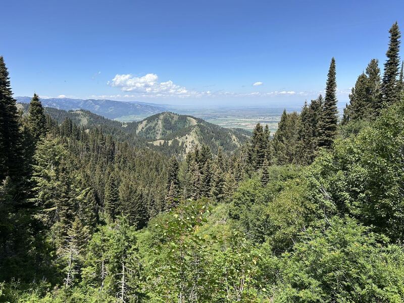 Pole Canyon Trail near Victor, Idaho
