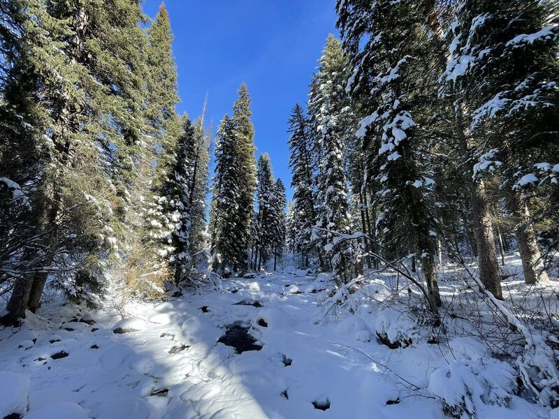 Sheep Bridge Trail near Victor, Idaho