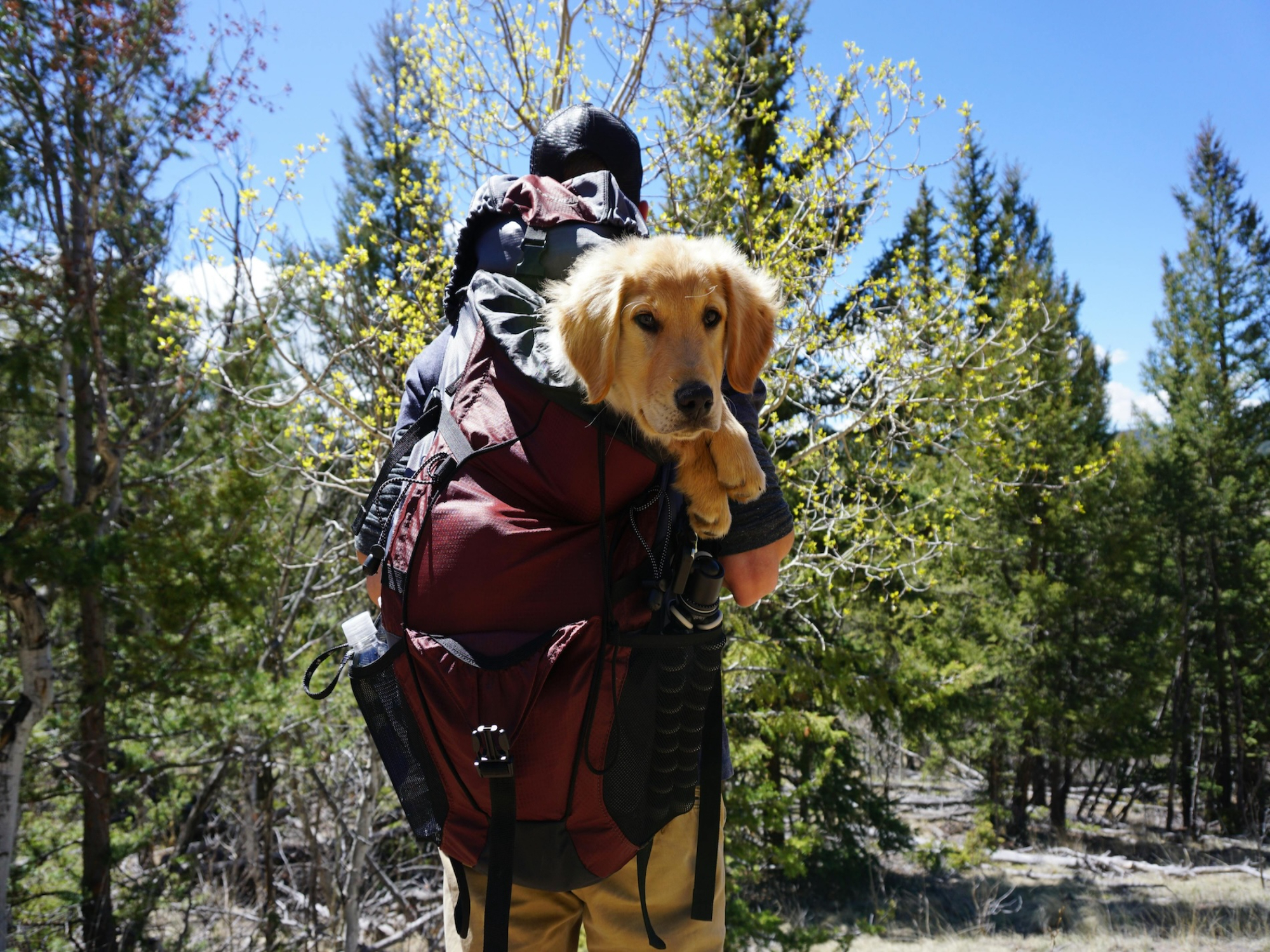 teton-flats-404